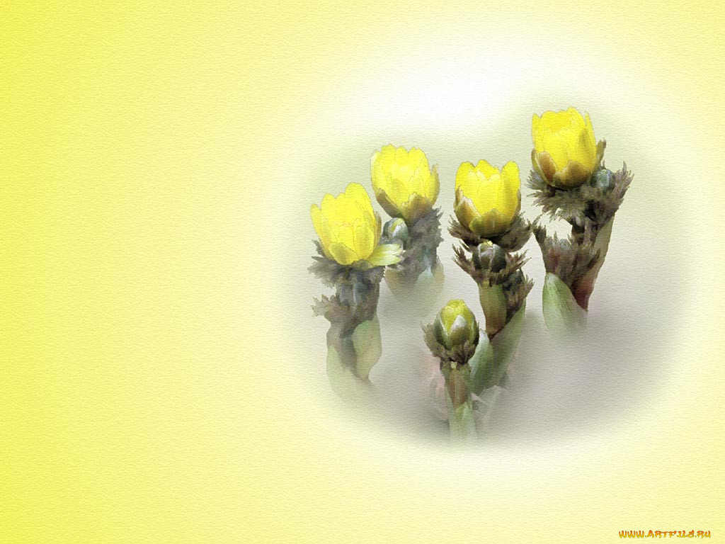 , 